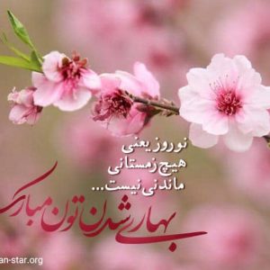 فریلنسر